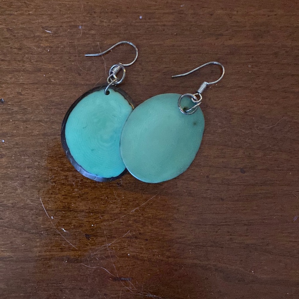 Teal tagua earrings.